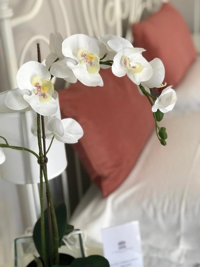 Bed&Rooms Il Tempio di Athena - Cultura e Relax a Siracusa Syracuse Esterno foto